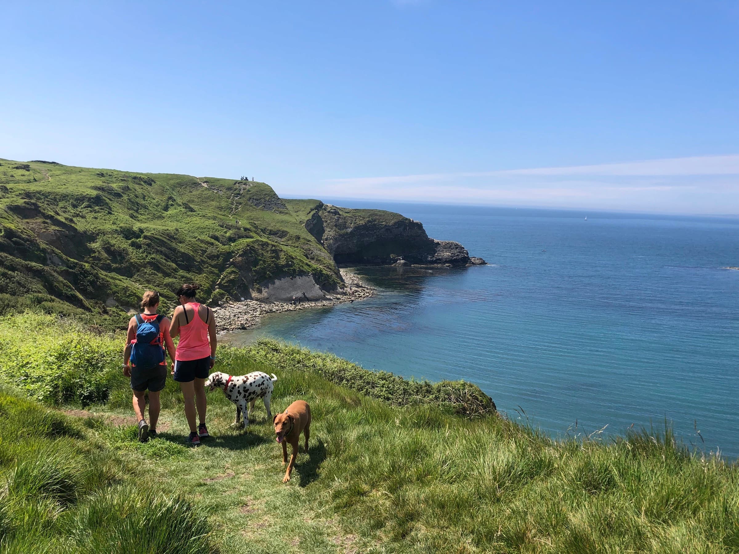 Walkers on a coastal path